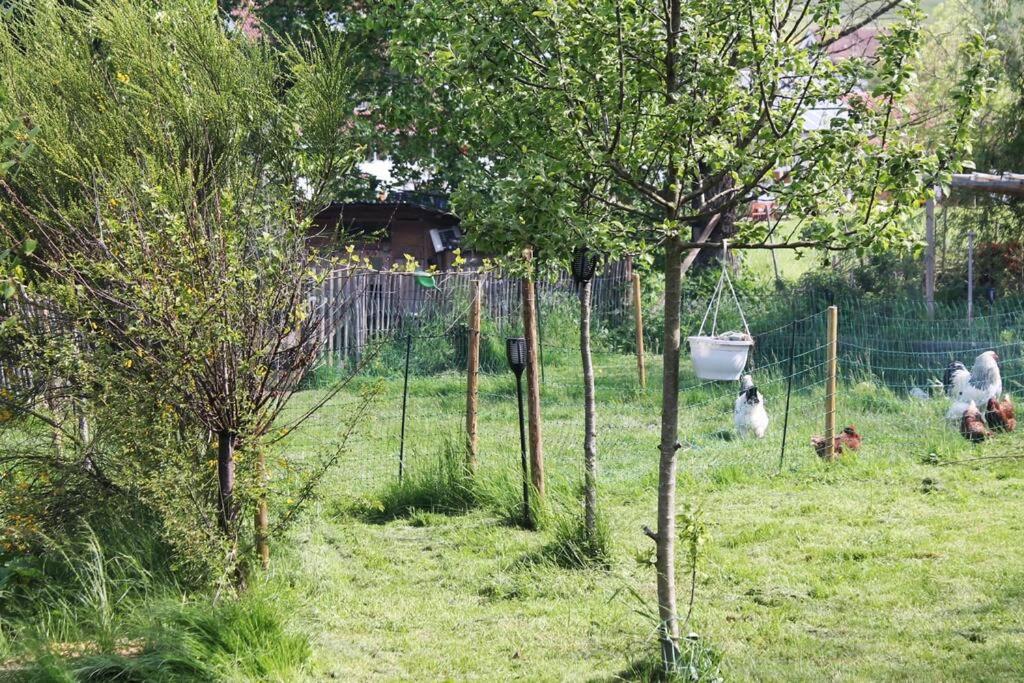 Apartament Remise Deggenhausertal Zewnętrze zdjęcie
